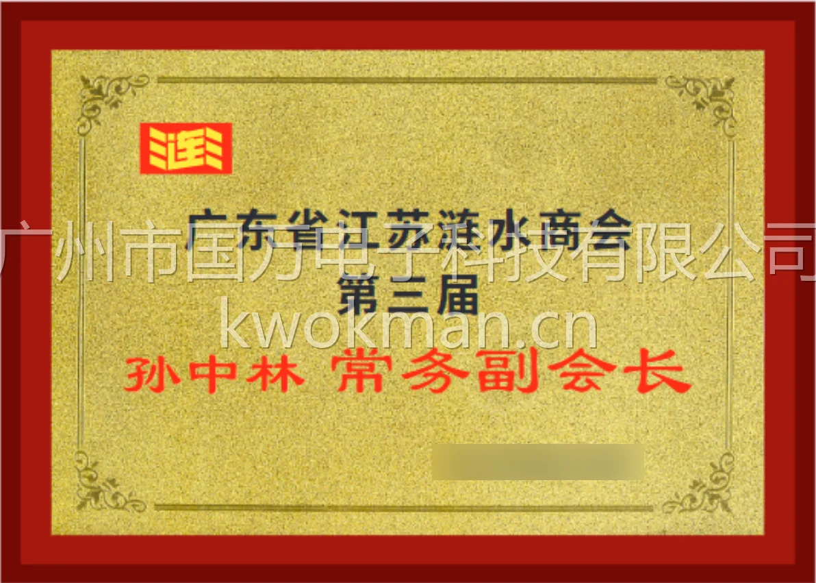 广东省江苏涟水商会常务副会长-孙中林