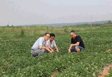 国万科技·红星堂消防安全节能管理平台-农林渔检查